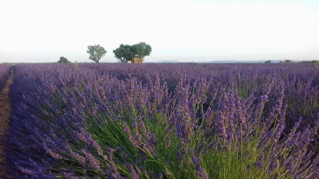 Bed & Breakfast Suite Prive Chez Dunja Roumoules France